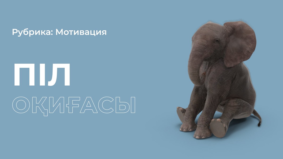 Піл оқиғасы немен аяқталады?